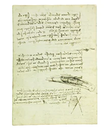 Codex over de vlucht van vogels, Folio 6 verso